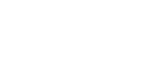 Boss-H2H-DP-Logo